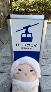 ���[�v�E�F�C����[