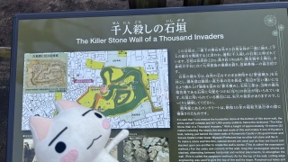 ��l�S���V