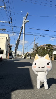 �r�[�R���v���U�I