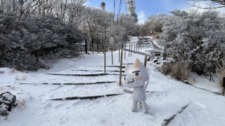 �s���̃j���I