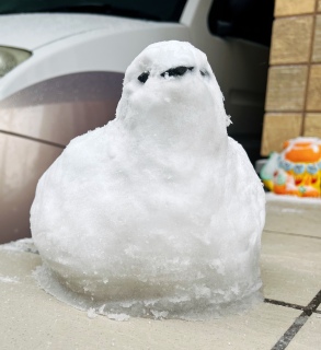 �����ɕϐg�I