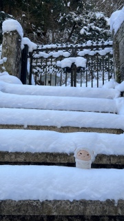 ����ӂ���