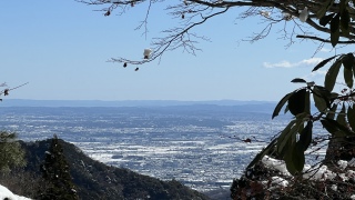 �}�g�R��������悤�ŁB