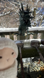 �c�����ł������