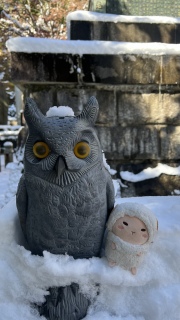 �t�N���E����Ɨr