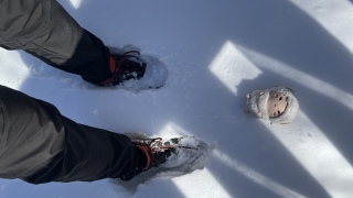 �������ς�������ȁ[