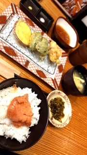 �V�Ղ�H�ׂɗ���