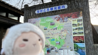 �{������