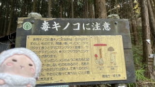 �ŃL�m�R�������Ȃ�����