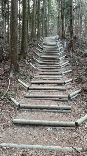 �i���̂ł����K�i�͒n��