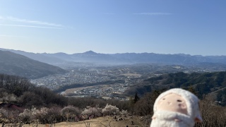 �i�F�����[�I