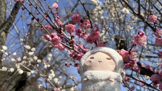 �g���̔~�����[�I