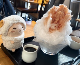 �������①�ŋv���Ԃ�ɃJ�L�X�I