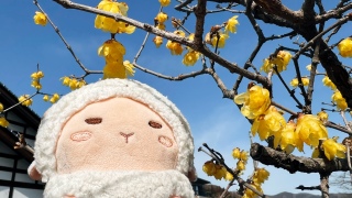 �X�~��������B�������Ɠ�