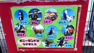 �����̓_���e����I