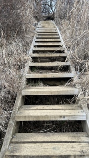 ���̔K�i���Ȏ҂�����