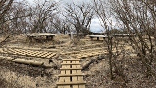 ��m������