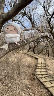 �X�ɐi��ł݂�I