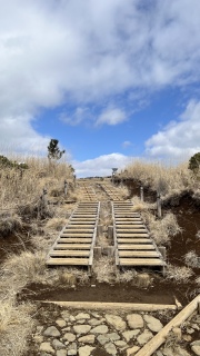 �V�C������Ɨǂ��Ȃ��ė�����