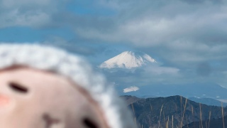 �x�m�R��u�����o�ė���