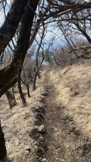 �R���͂���