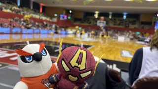 ���������I