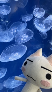 �����ՊC�����̐����ٗ��Ă݂�