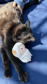 �r����Ƃ˂��