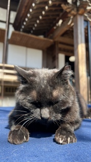 �������痣����Ȃ��񂾂��I