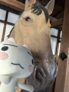 �F����̔n🐴