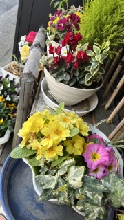 �����Y��