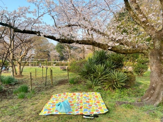 ���V���O����S���S��