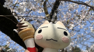 �g���A�\�t�g�N���[��🍦�H�ׂ�̃j���I