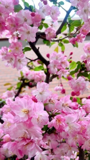 �^�񒆔��������킢��