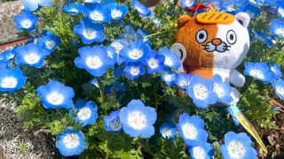 �l���t�B������