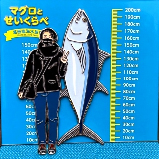 �s���o�b�W��