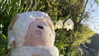 �����͒����̎R�ł�����