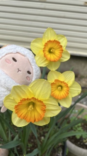 �X�C�Z���������[�Y��I