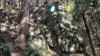 �����Ɍ������