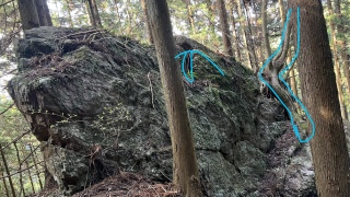 ���Ɍ������