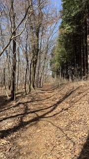 �Y���Y���i���