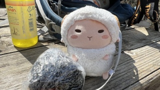 ���ɂ���I