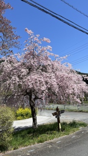 �ʛl���񔭌��I