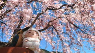 �Y��Ȃ������🌸