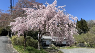 vi�q�A��Ă�����񗈂�I