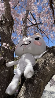 �������ɂ�[