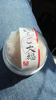䕑啟:��