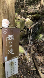 �肢�̑�