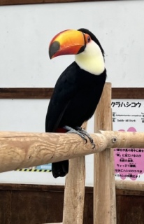 �N�ɋ󂢂ɗ������ŁI