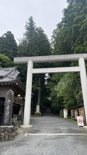 ���_��⛩️